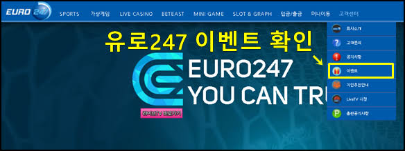 유로247 도메인